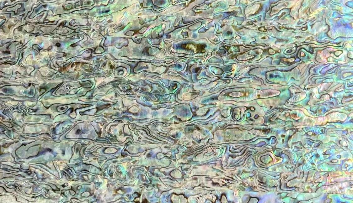 Natural Abalone Shell Sheet