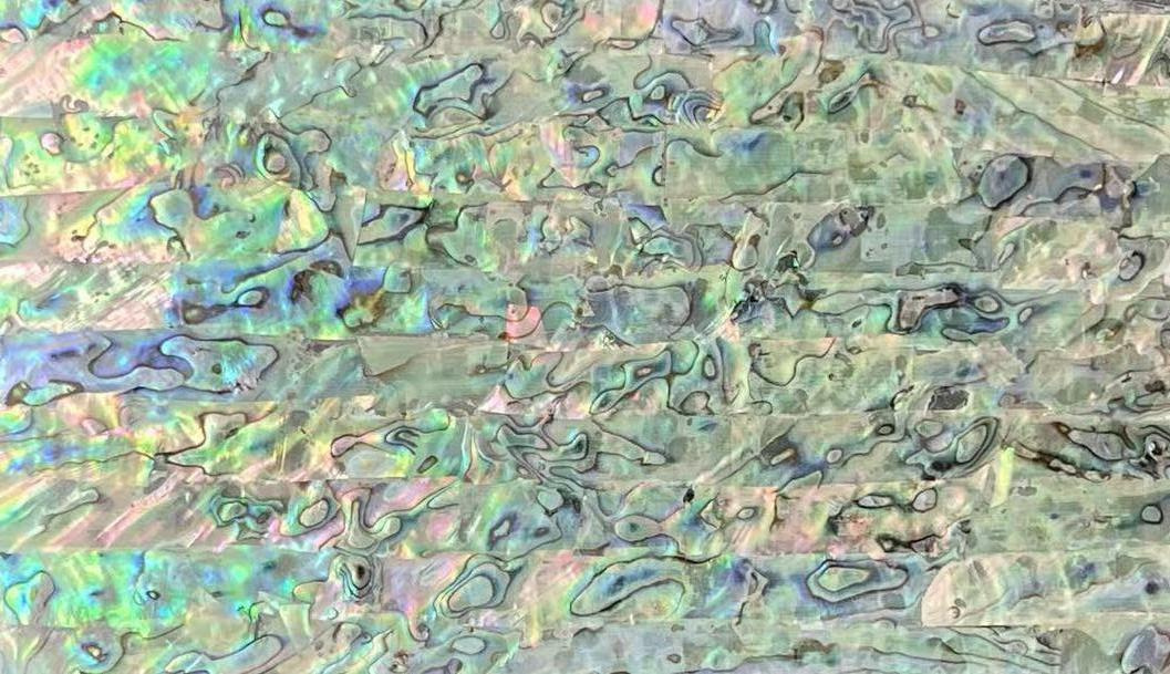 Natural Abalone Shell Sheet