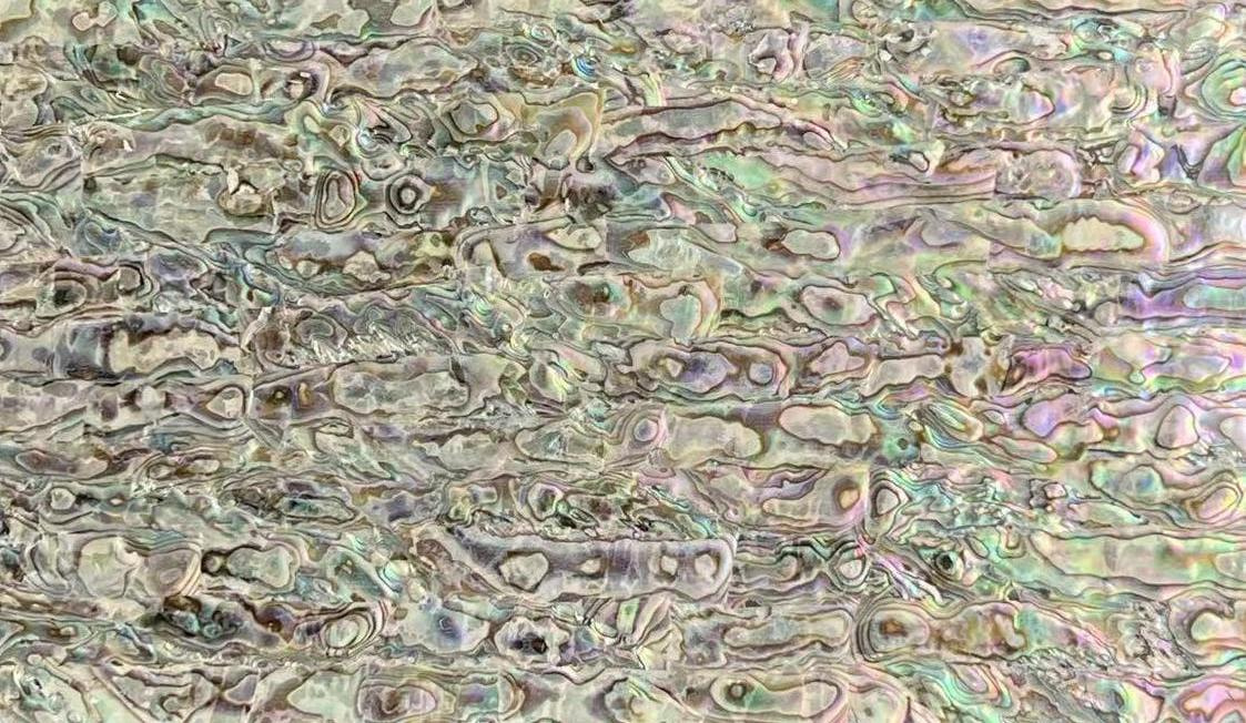 Natural Abalone Shell Sheet