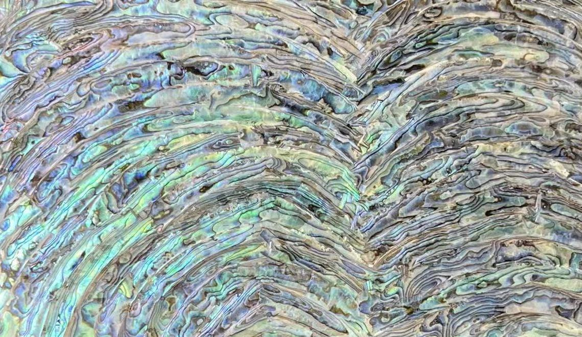 Natural Abalone Shell Sheet