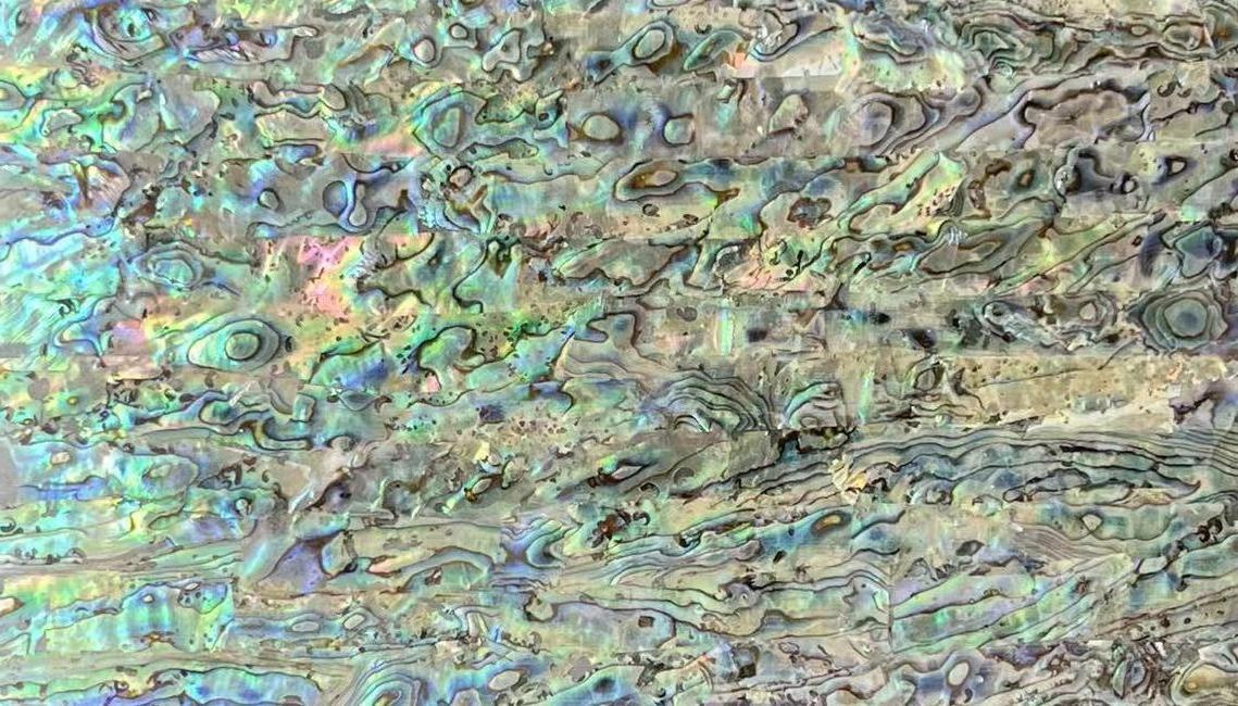 Natural Abalone Shell Sheet