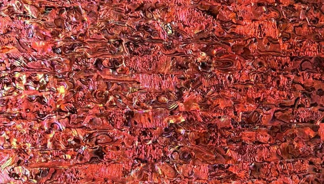 Natural Abalone Shell Sheet