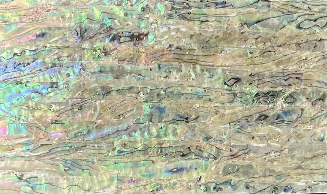 Natural Abalone Shell Sheet