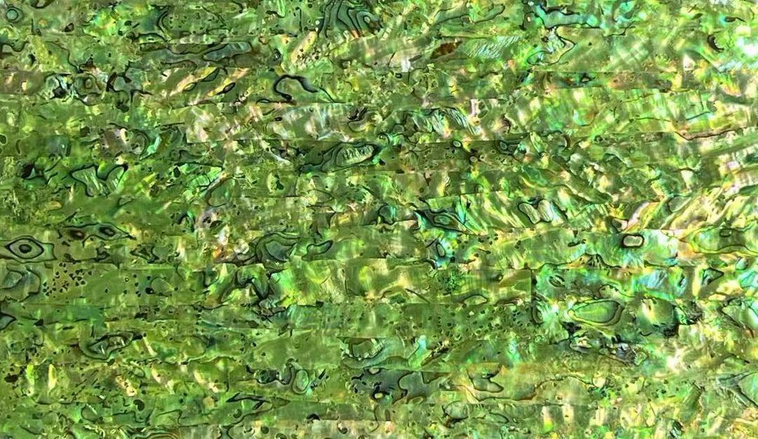 Natural Abalone Shell Sheet