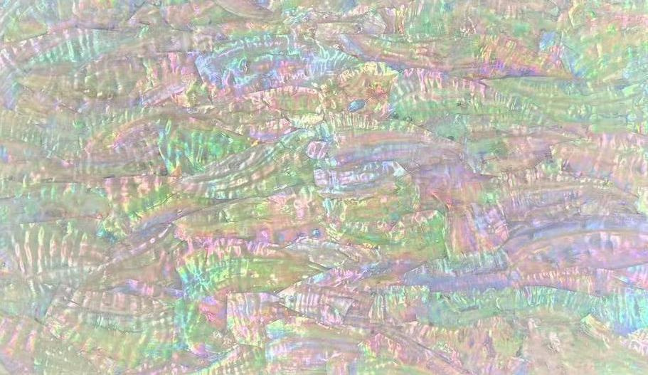 Natural Bohaiwan shell sheet