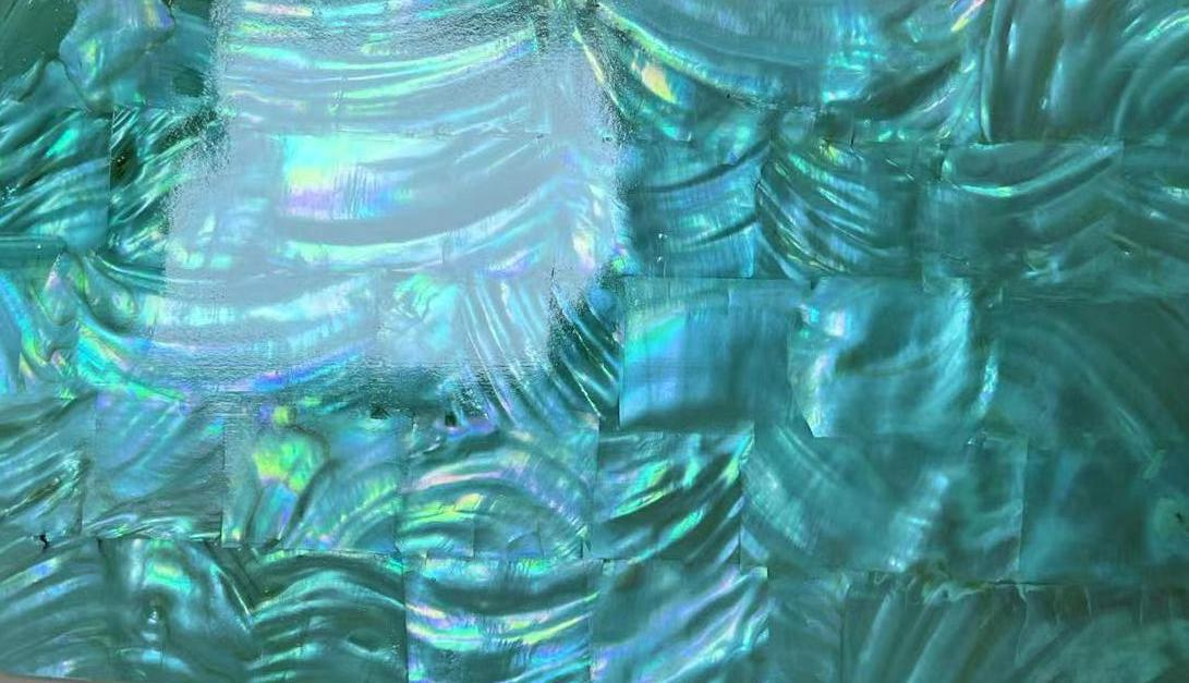 Natural Freshwater Shell Sheet