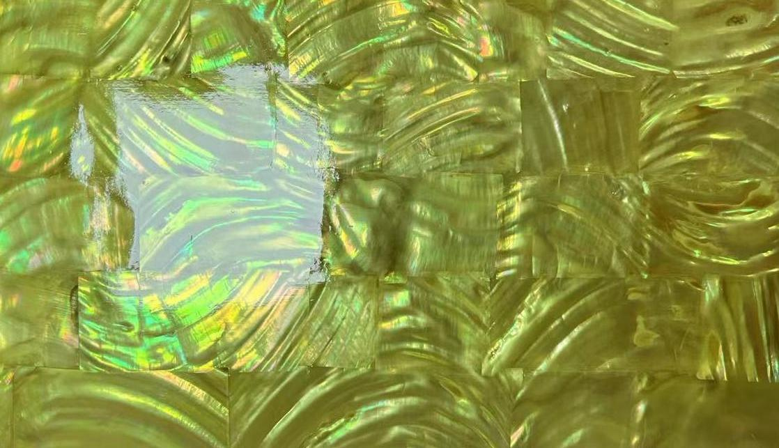 Natural Freshwater Shell Sheet