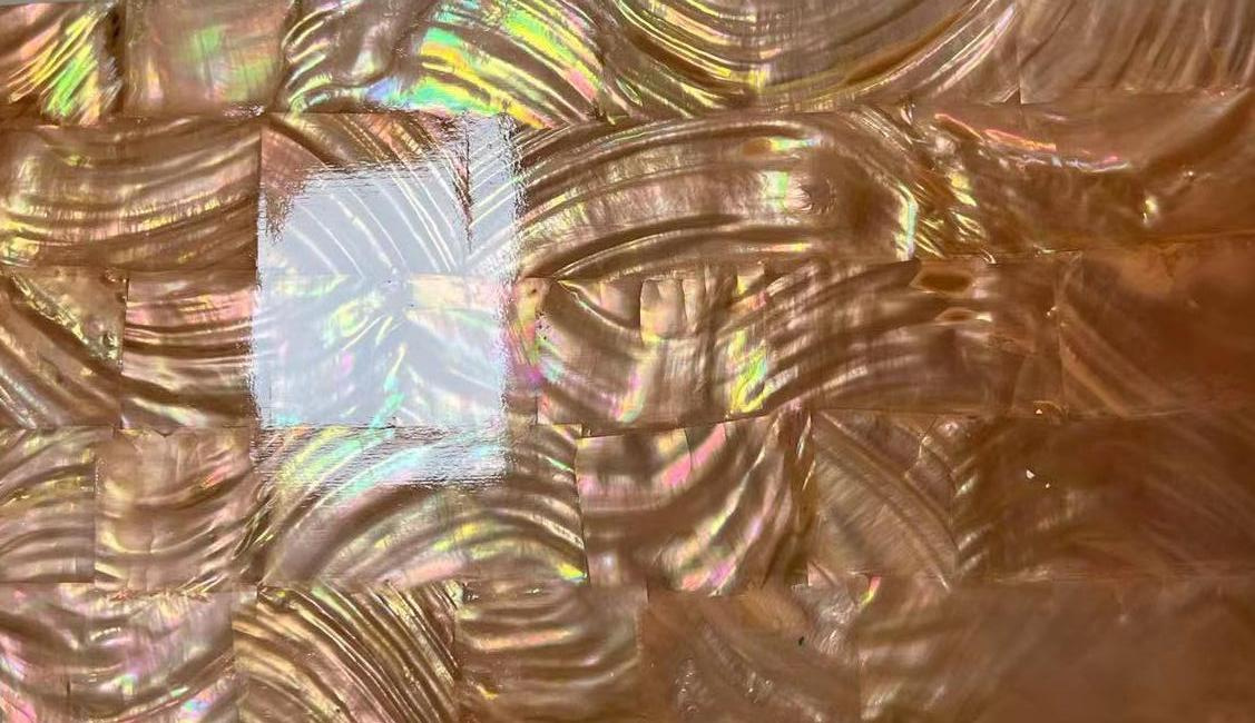 Natural Freshwater Shell Sheet