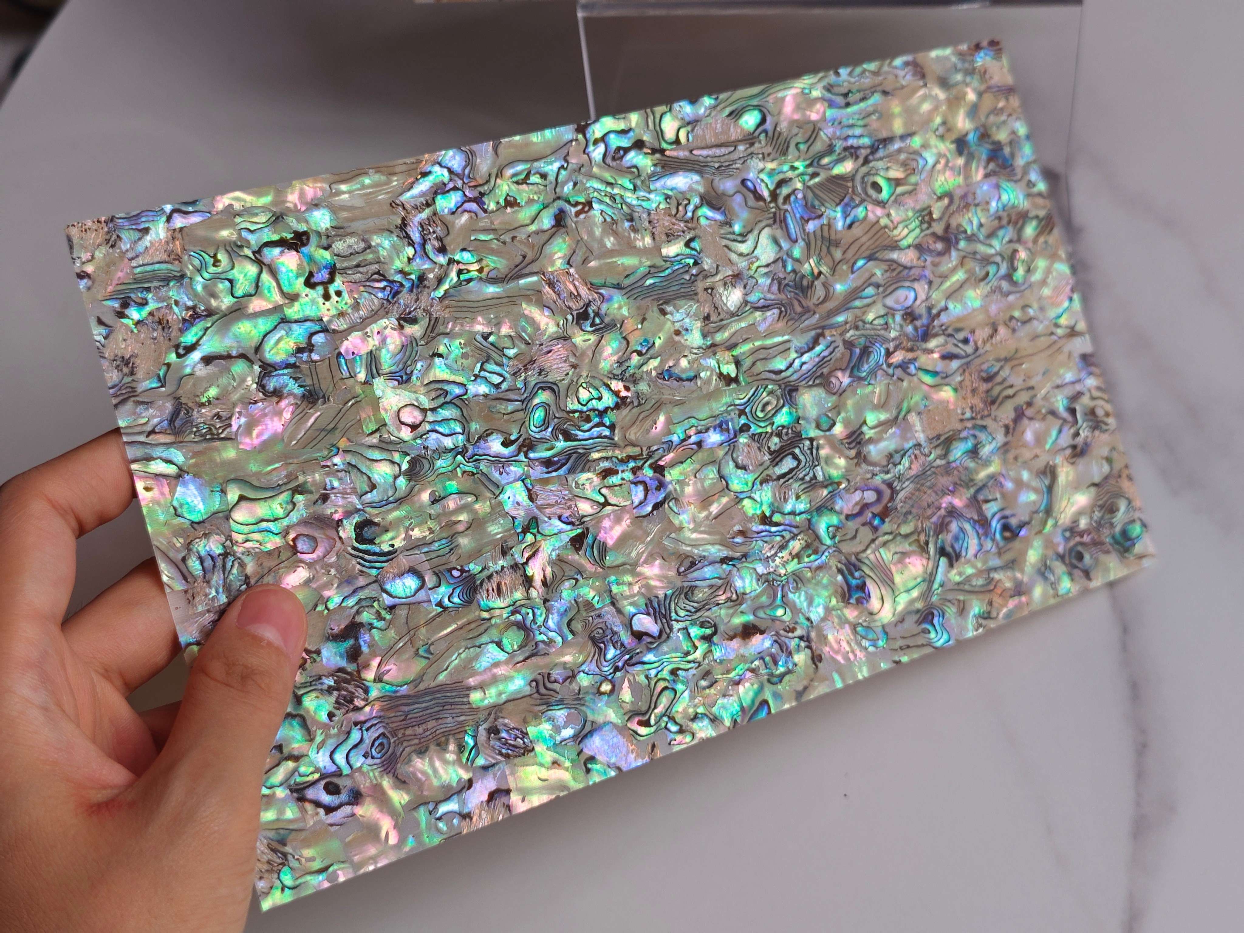 Natural Abalone Sheet