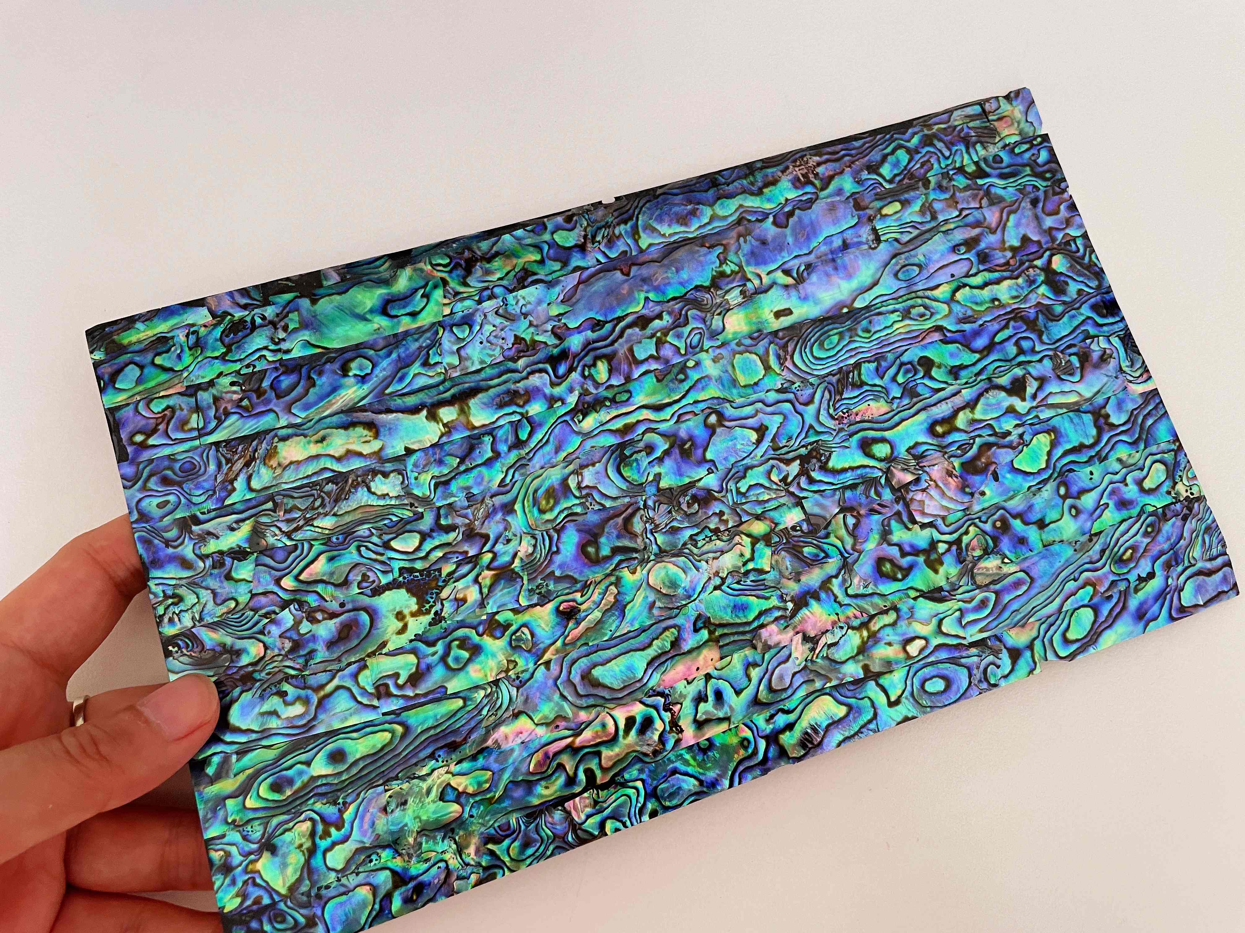 Natural 3A Abalone Sheet 