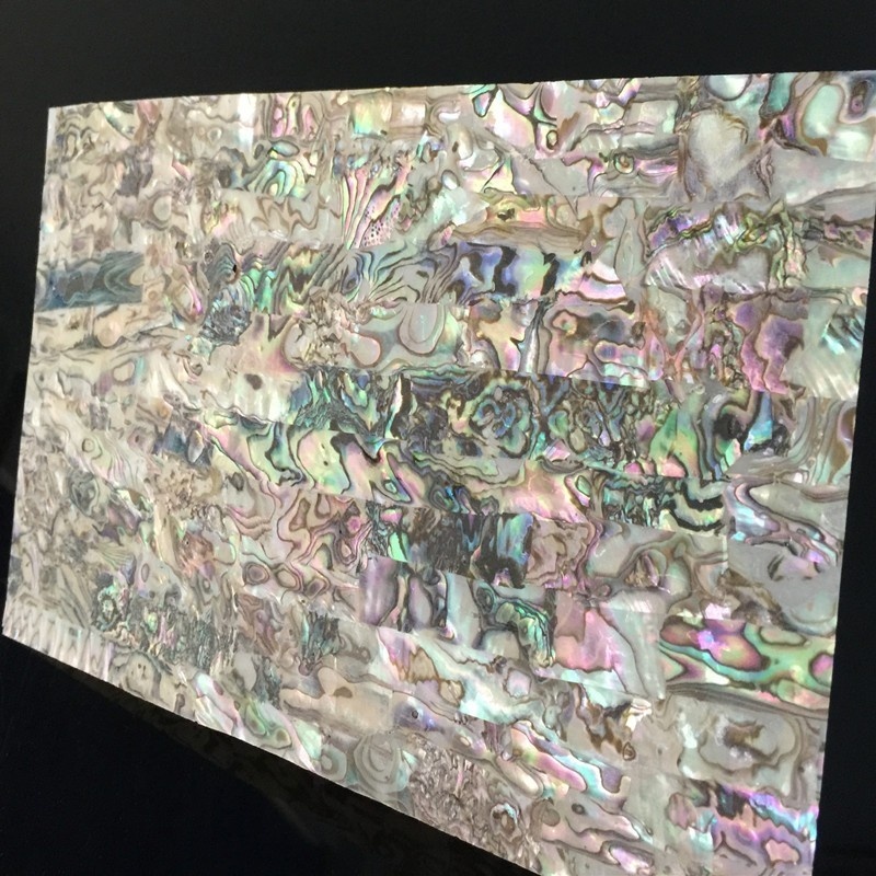 Natural Abalone Sheet 