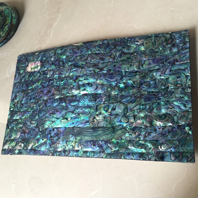Natural abalone sea shell sheet 