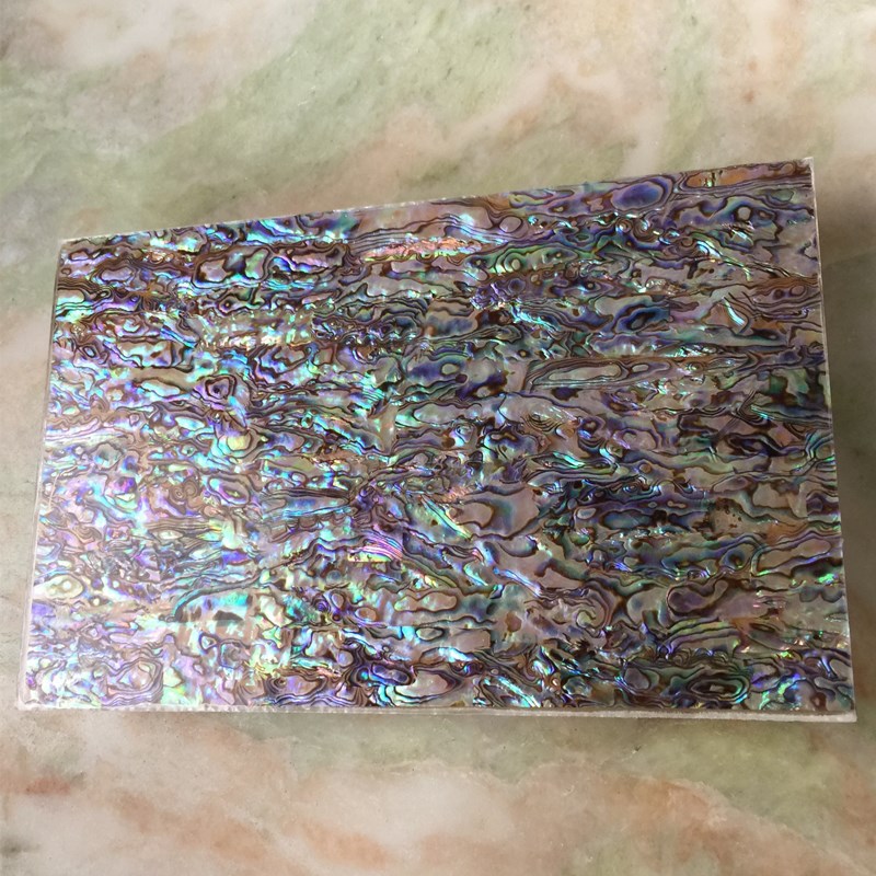 Natural abalone sea shell sheet 