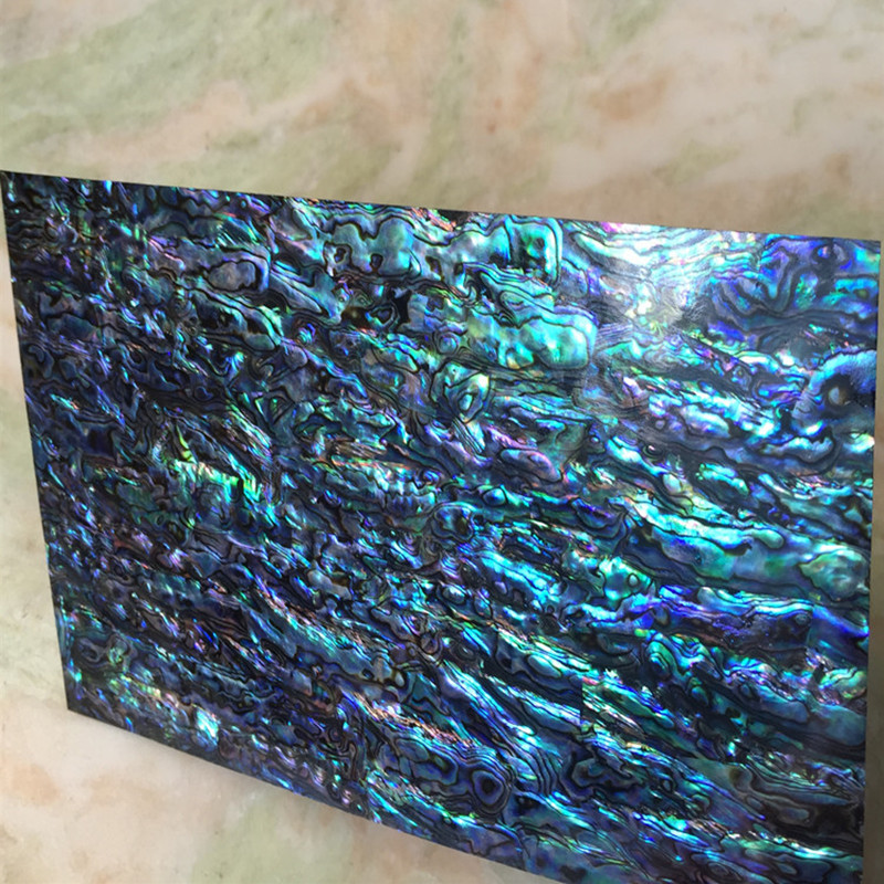 Natural Abalone  Sheet 