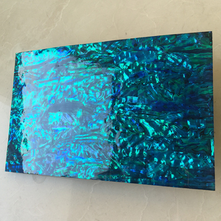 Natural abalone sea shell sheet 