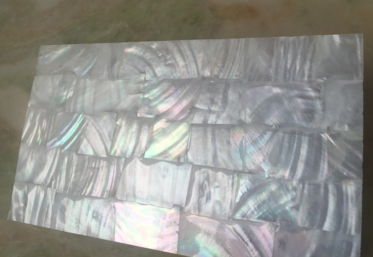 Natural Freshwater Shell Sheet