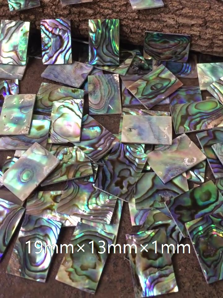 Natural abalone sea shell blanks