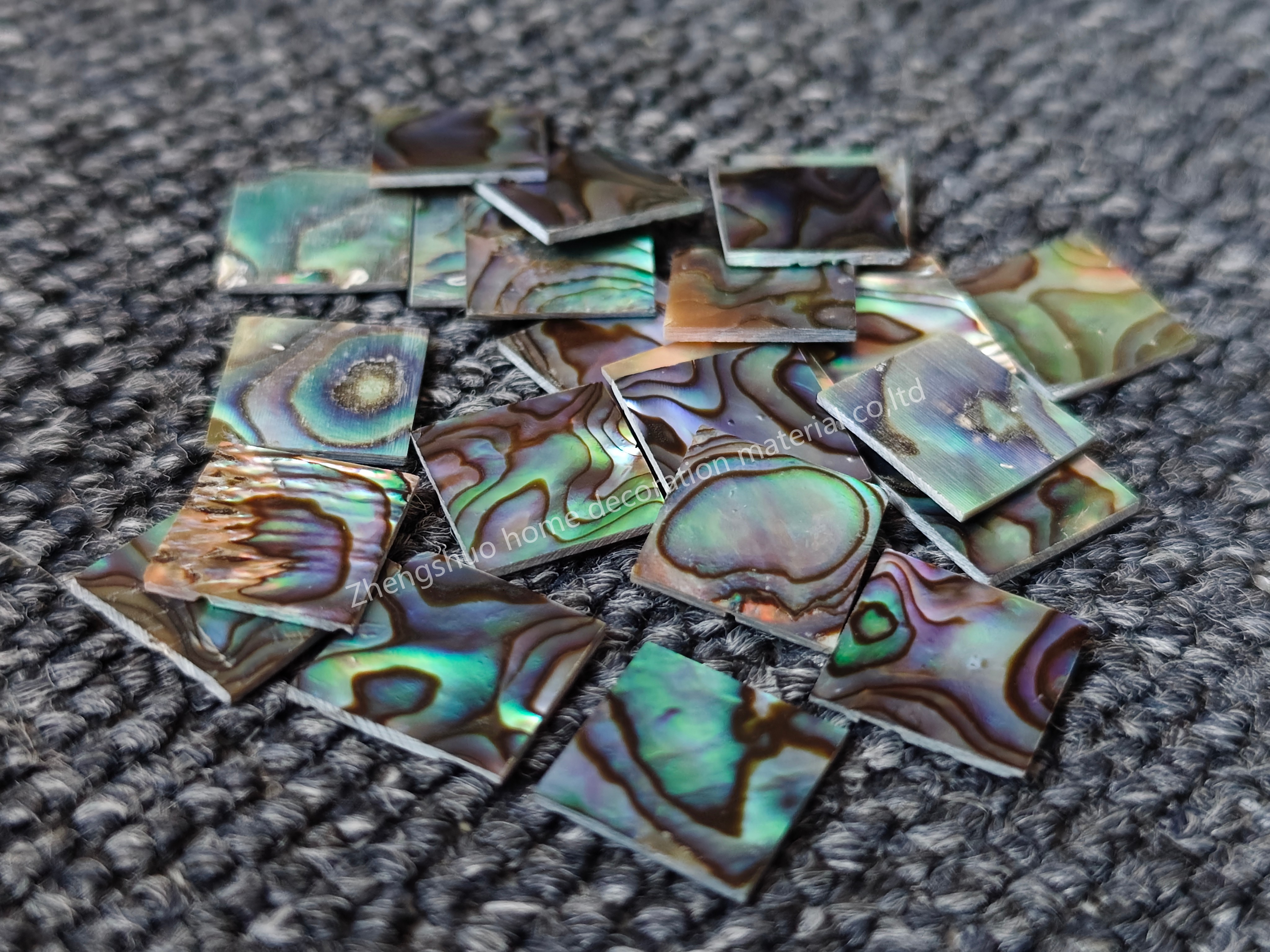 Natural abalone shell blank