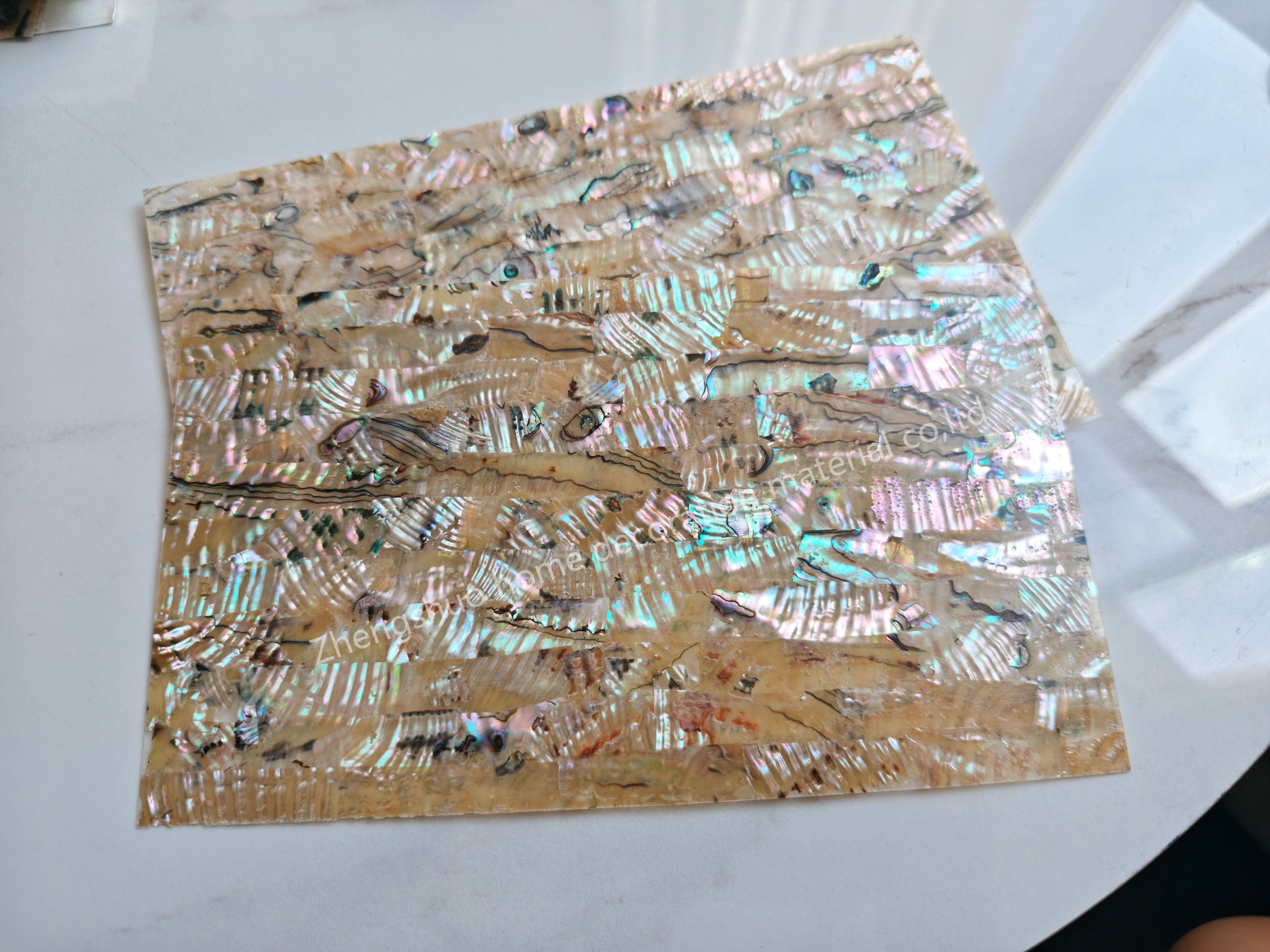 Natural Mexico Abalone sheet