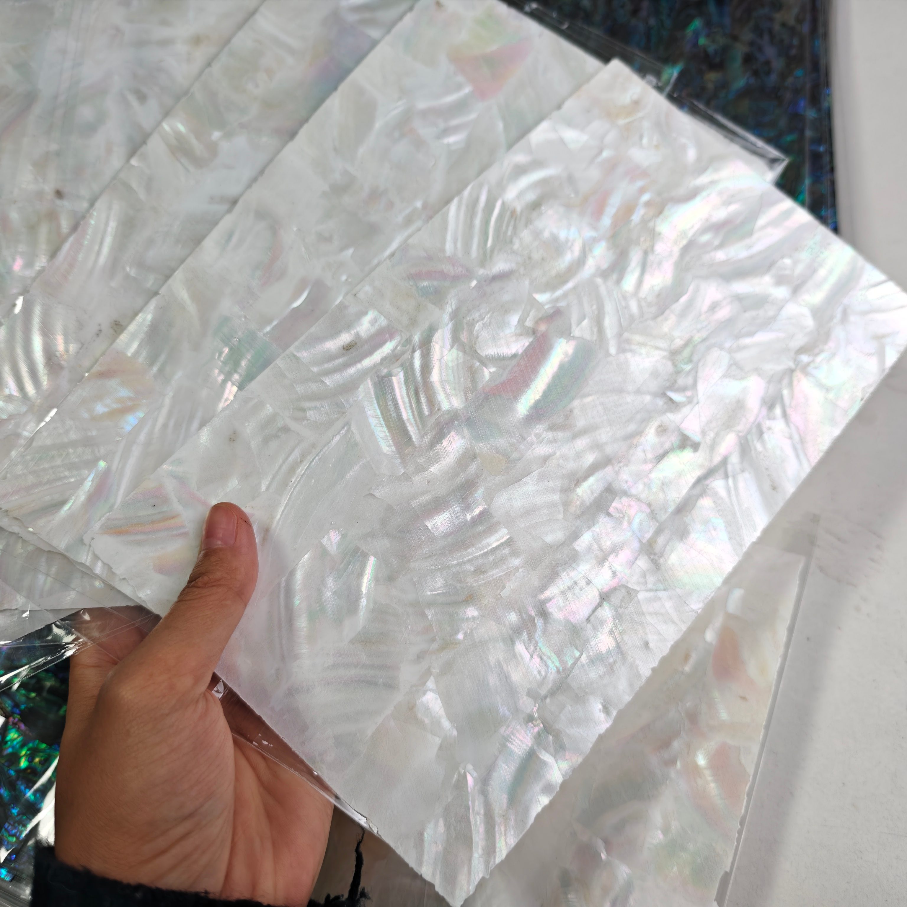 Natural Freshwater Shell Sheet