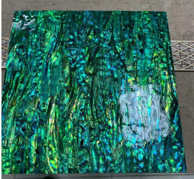 Natural abalone shell sheet