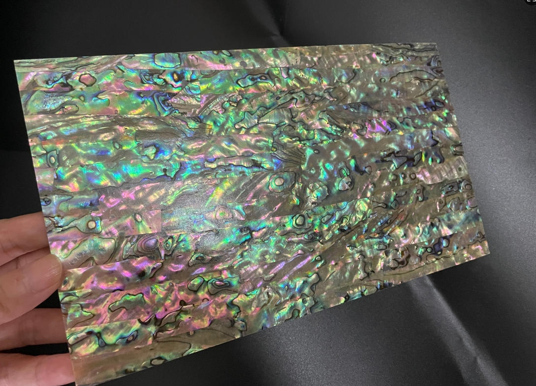 Natural Abalone Sheet