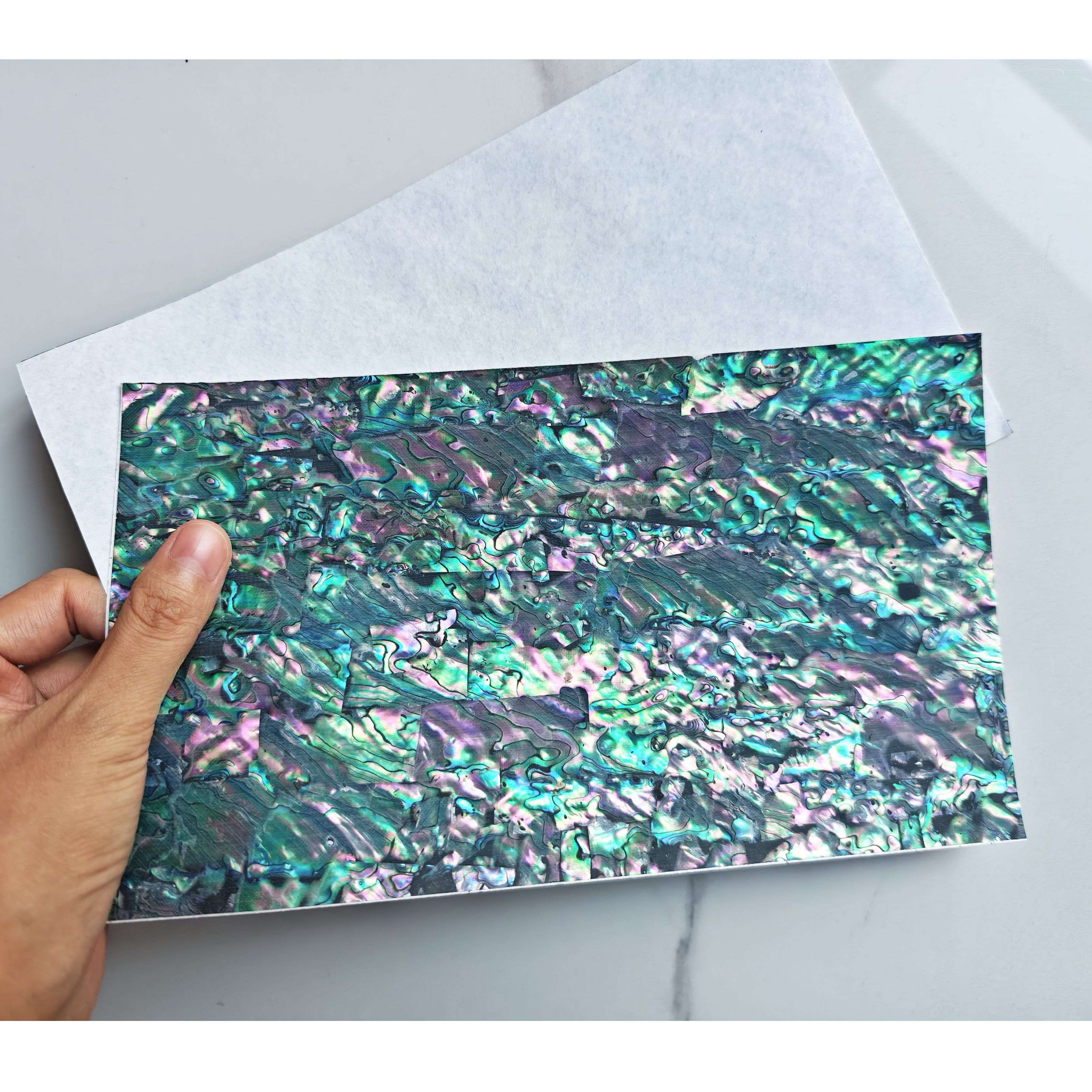 Natural flexible abalone with adhesive shell sheet