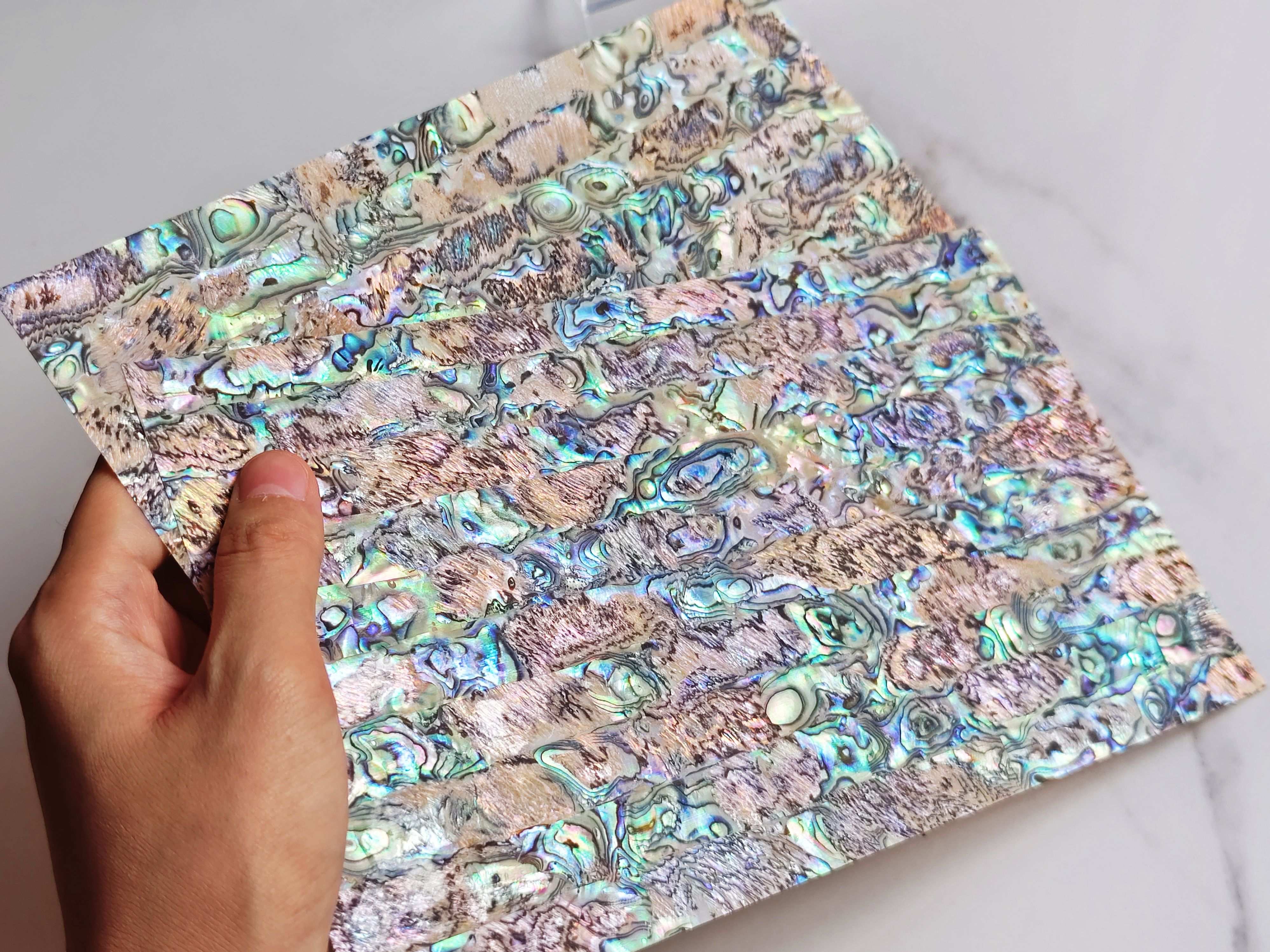 Natural Abalone Sheet