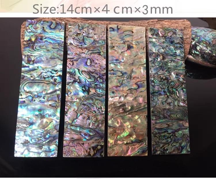 Natural abalone shell blanks