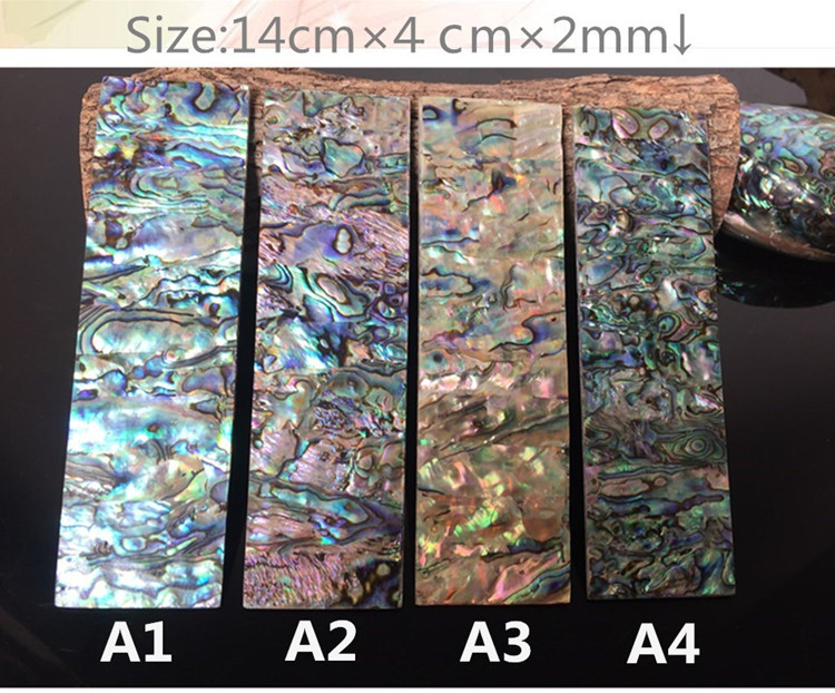 Natural abalone shell blanks