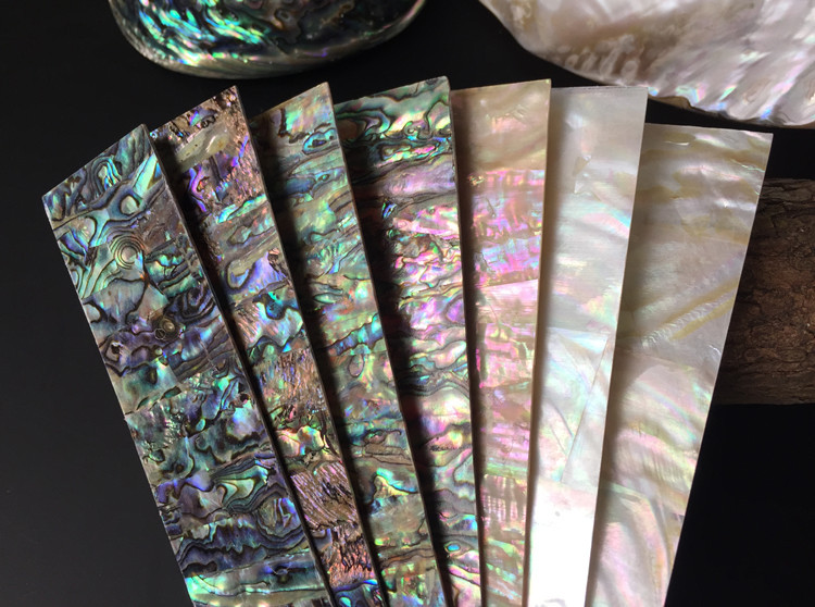 Natural abalone shell blank