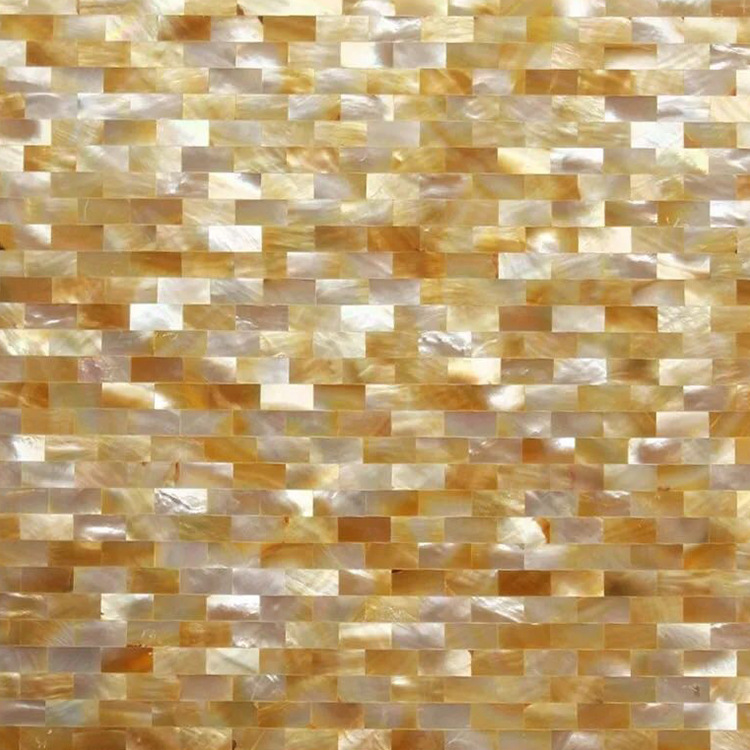 Natural shell mosaic 