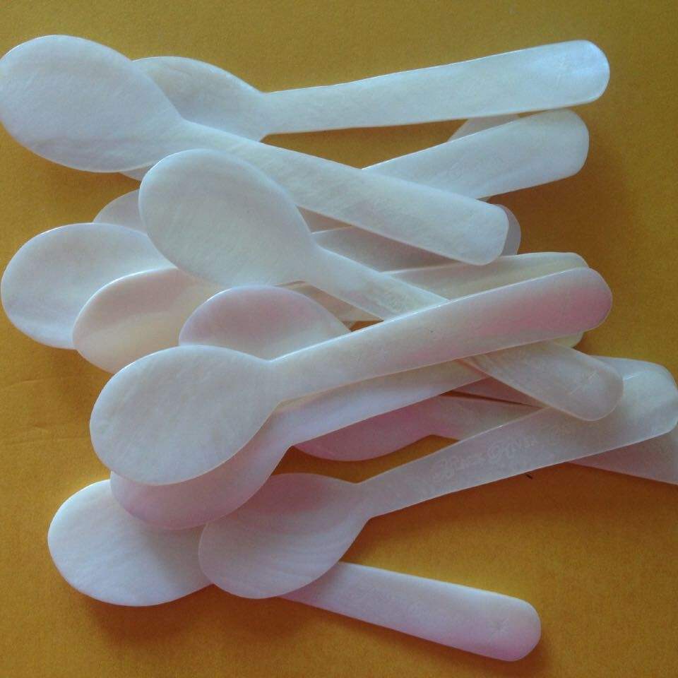 natural shell spoons
