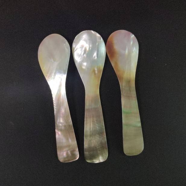natural shell spoons