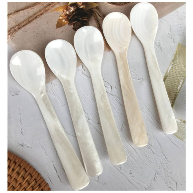 natural shell spoons