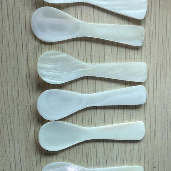 natural shell spoons