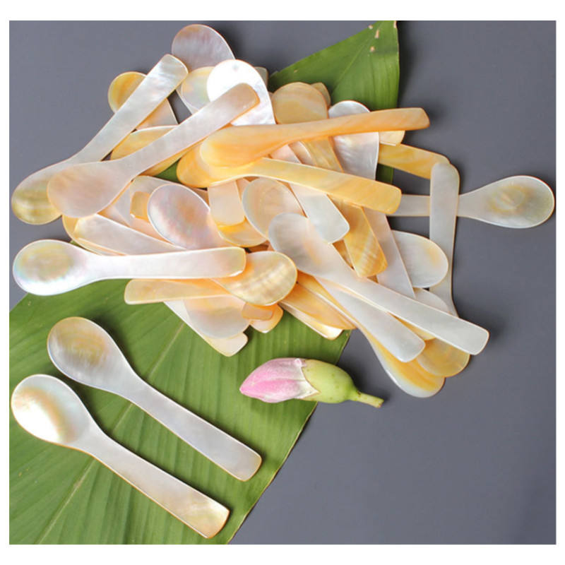 natural shell spoons