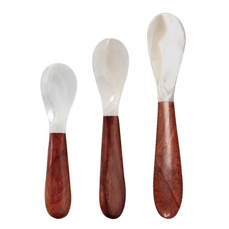 natural shell spoons