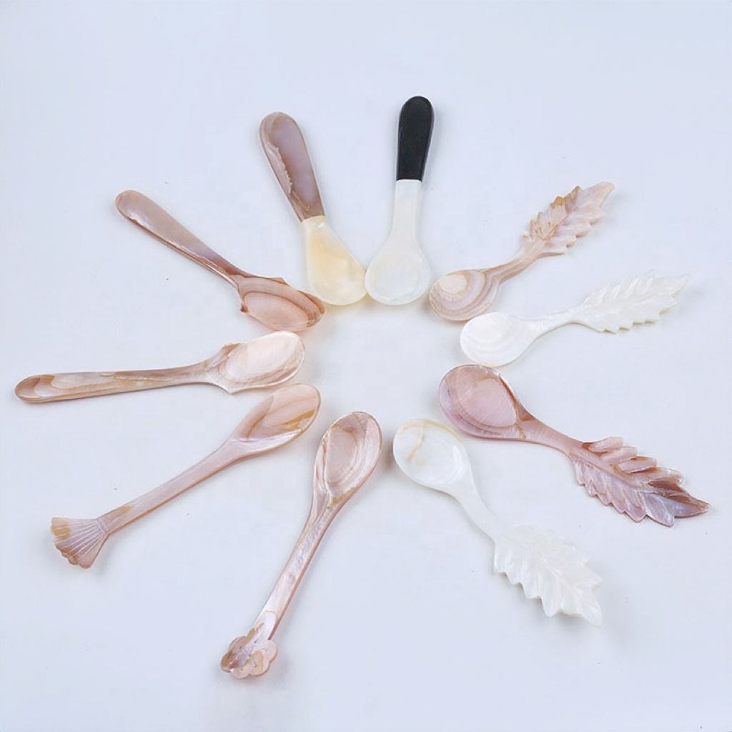 natural shell spoons