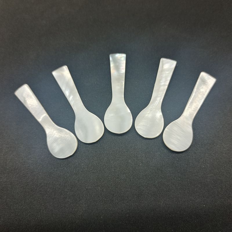 natural shell spoons