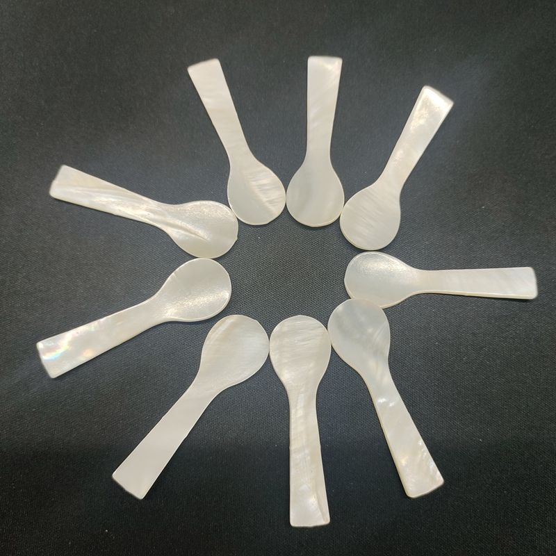 natural shell spoons