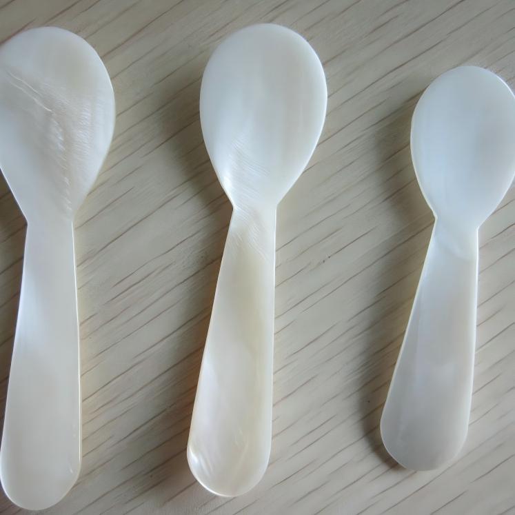 natural shell spoons