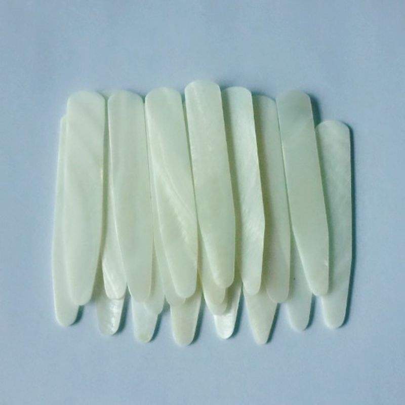 natural shell collar stay