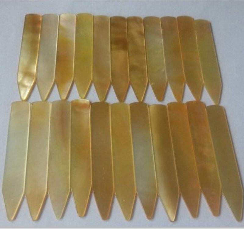 natural shell collar stay