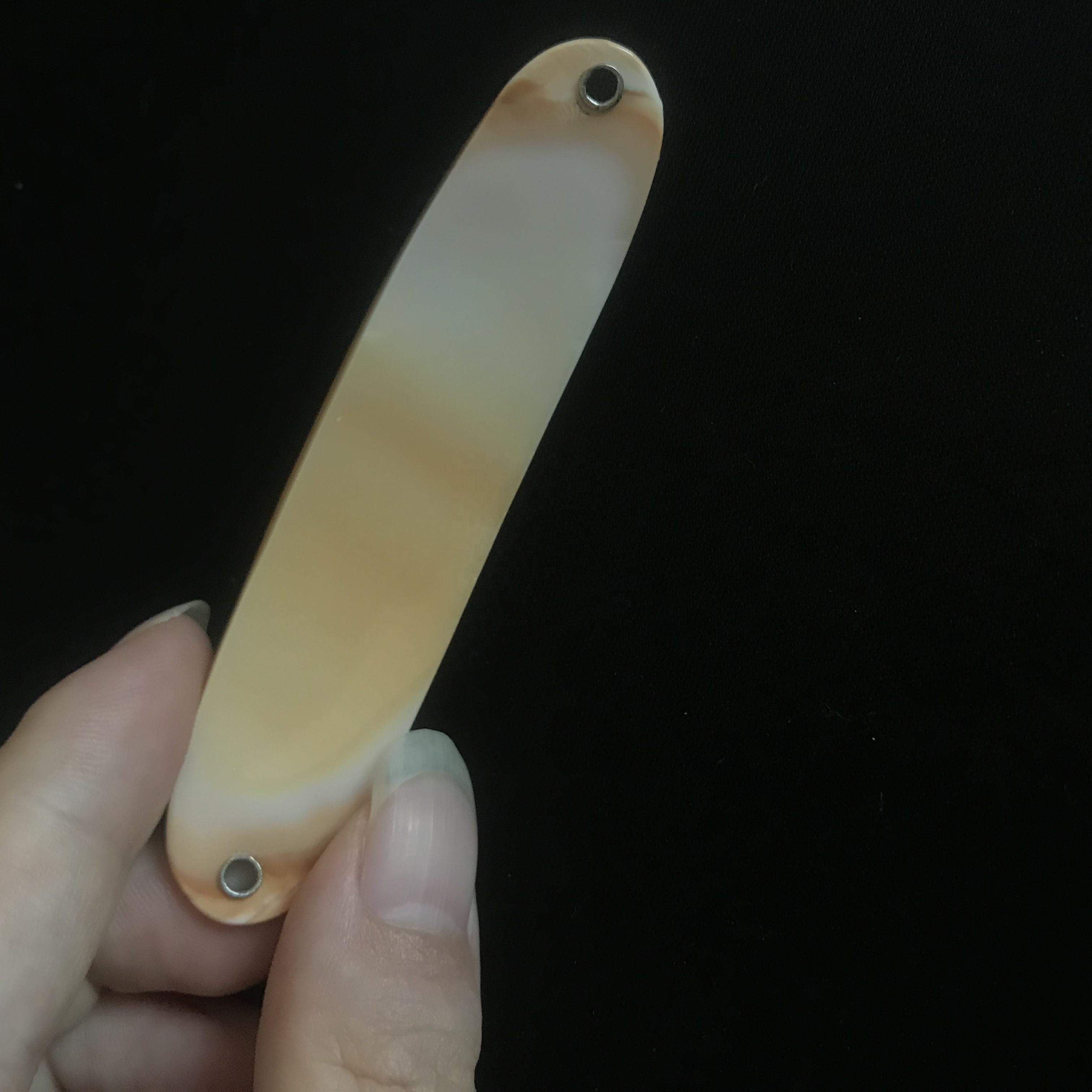 natural shell fishing  lures