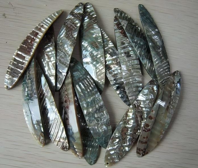natural shell fishing  lures