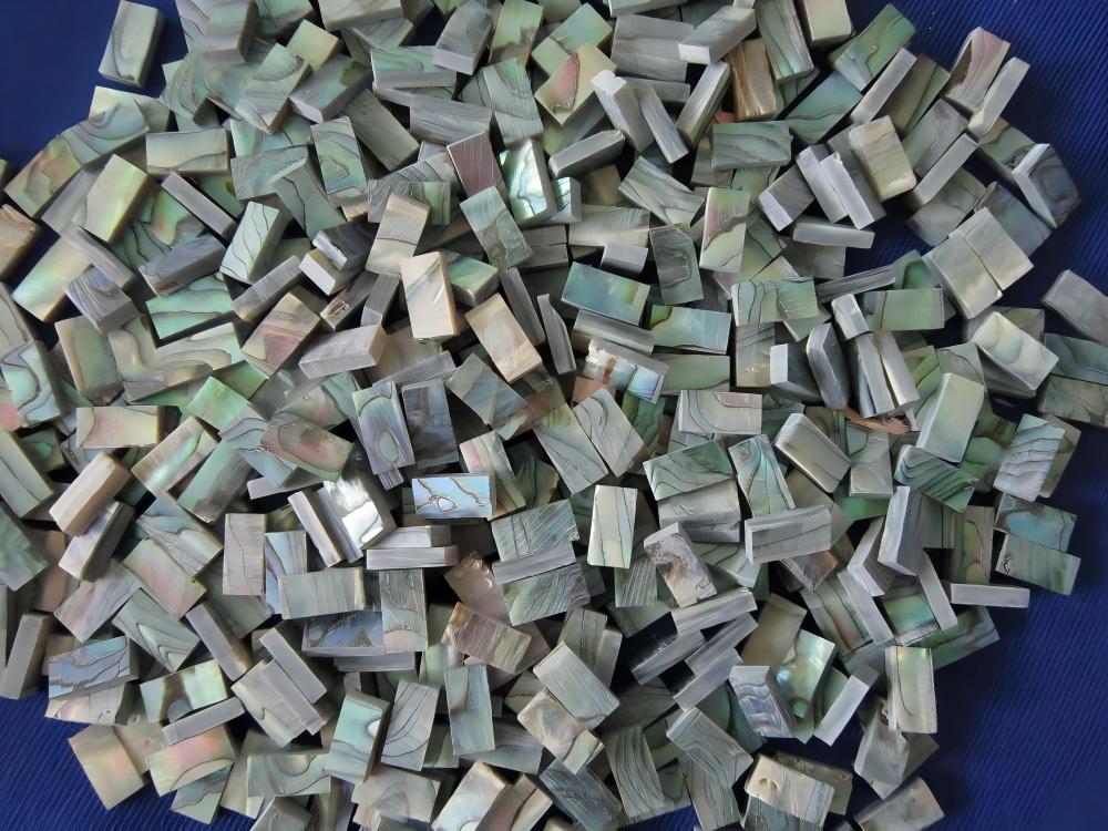 Natural abalone shell blank