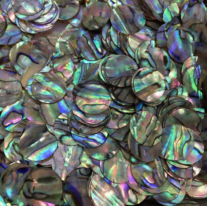 Natural abalone shell blank