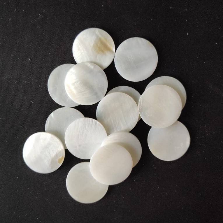 natural shell beads
