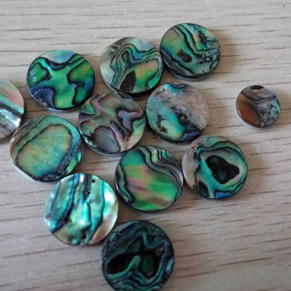 natural shell beads